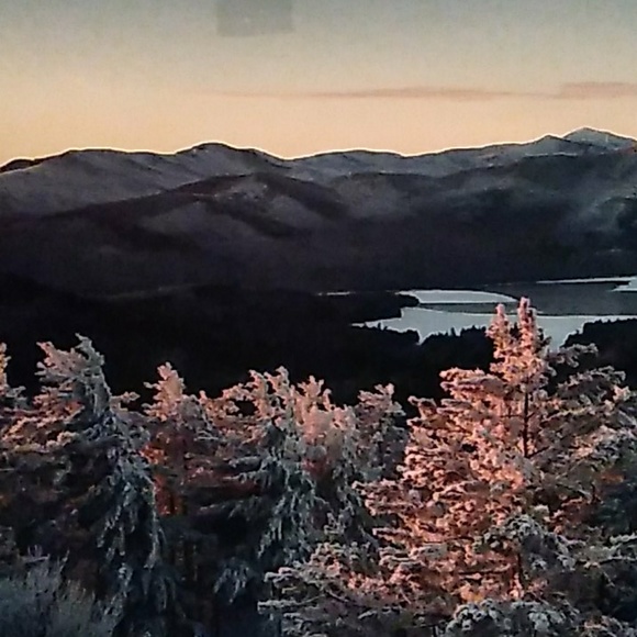 Meet your Posher, Anita - Picture 1 of 1